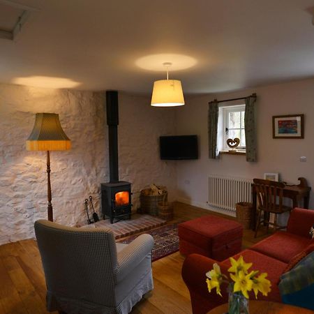 Dandelion Cottage, Amroth Εξωτερικό φωτογραφία