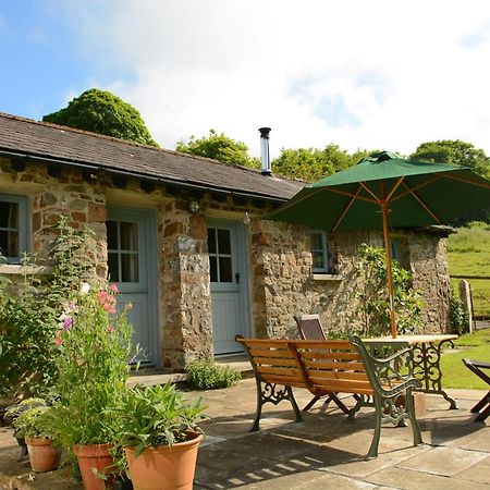 Dandelion Cottage, Amroth Εξωτερικό φωτογραφία