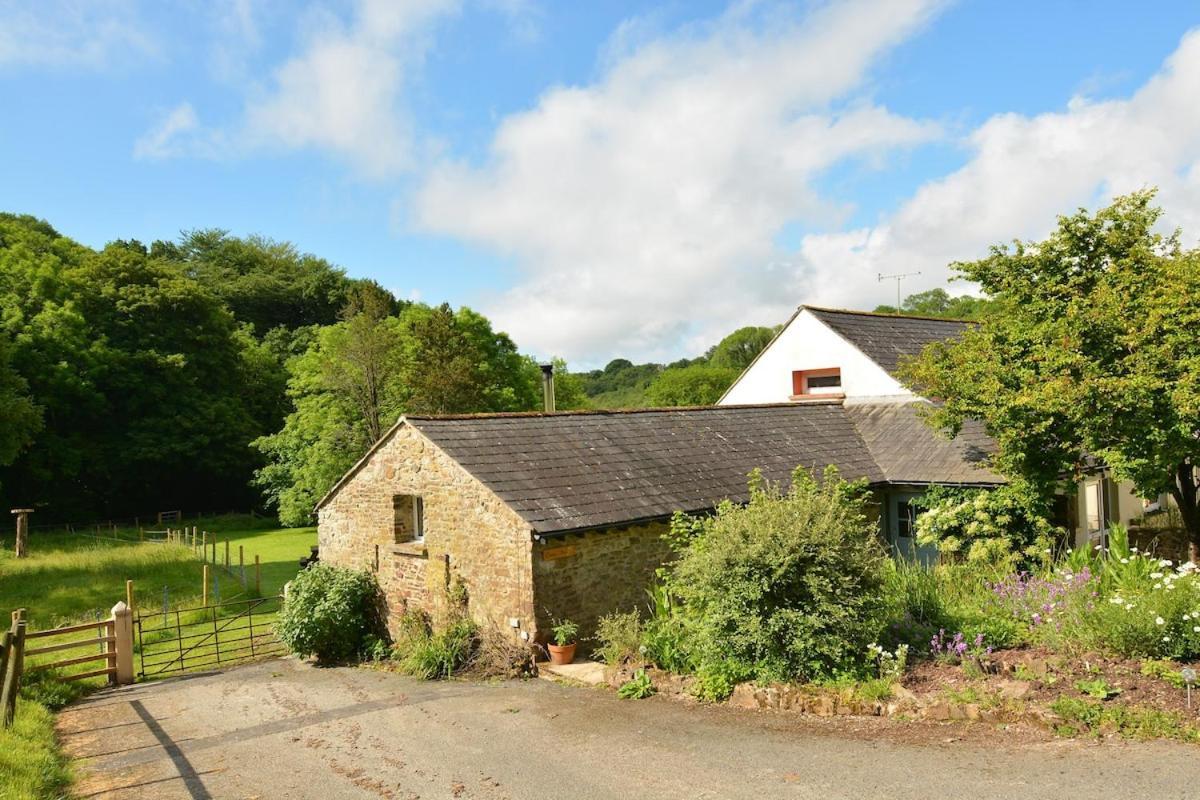 Dandelion Cottage, Amroth Εξωτερικό φωτογραφία