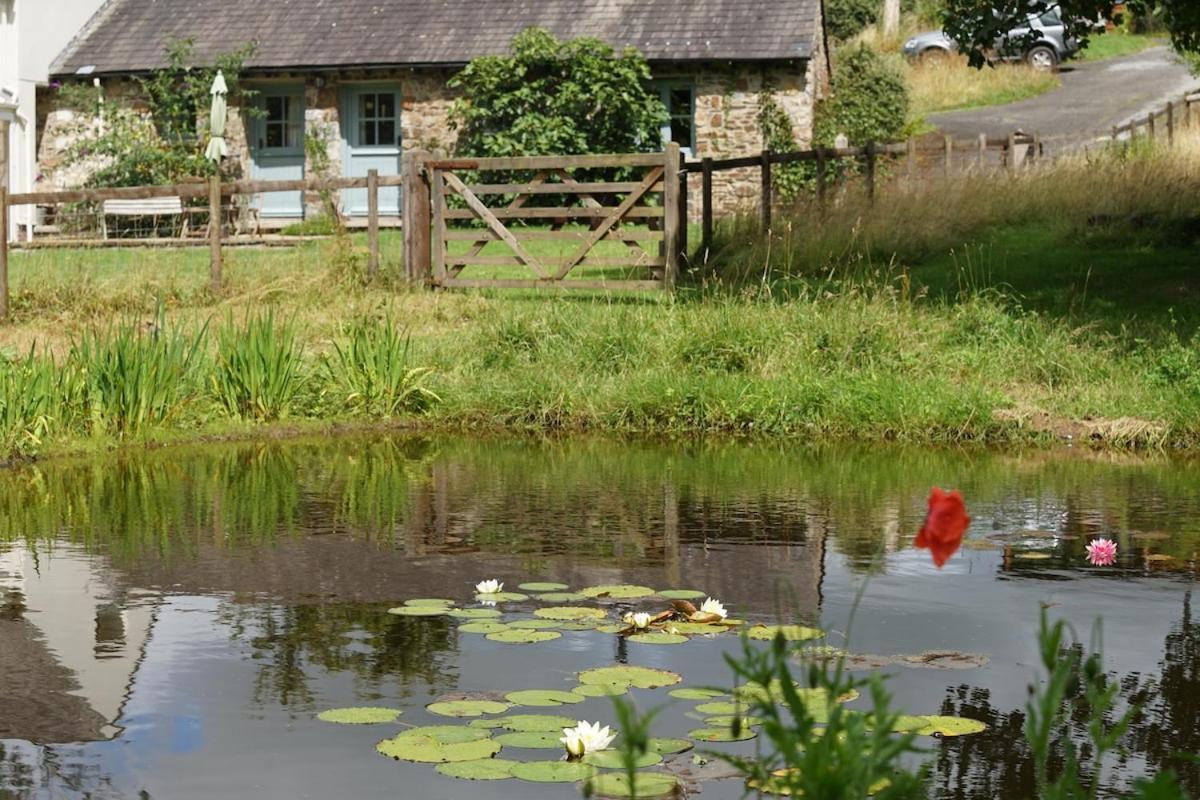 Dandelion Cottage, Amroth Εξωτερικό φωτογραφία